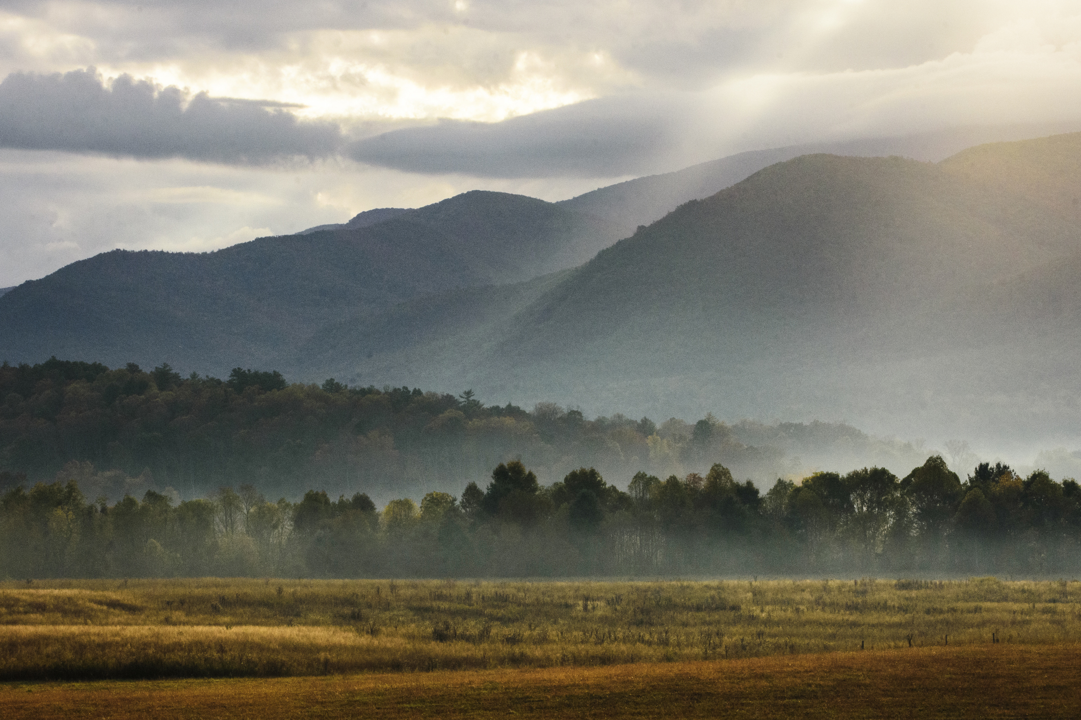 Morning in Cades Cove - Tennessee Mountains